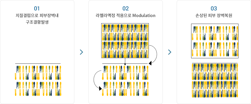 Ǻ庮  Mechanism